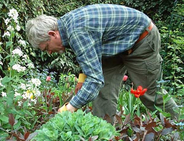 Gardening