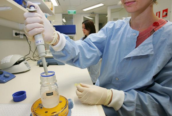 In vitro fertilization