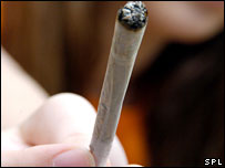 42864553 cannabis cred203 45
