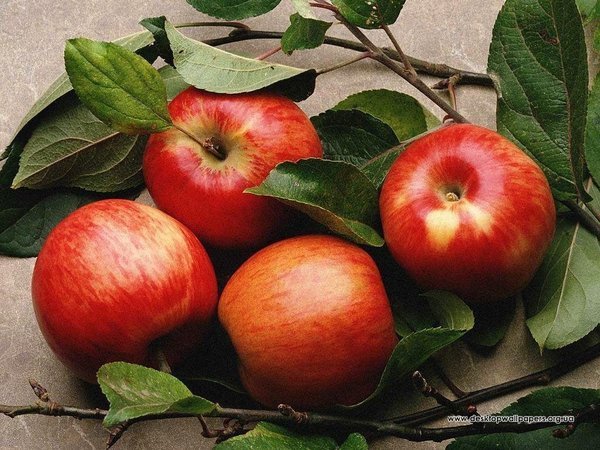 Dark colored fruits have anti-oxidant