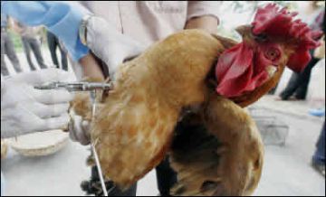 assembly to discuss bird flu 9