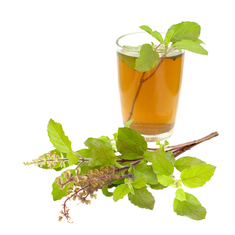 Home remedies to manage malaria fever basil is the best herbal drug to treat malaria image title ovb6w