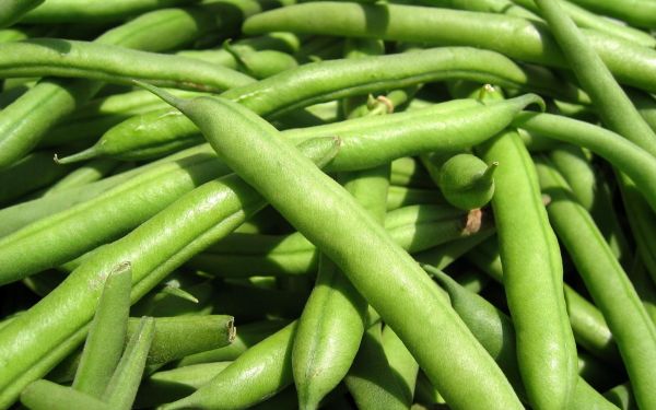 Beans Beans