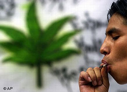 cannabis smoking cannabis smoking