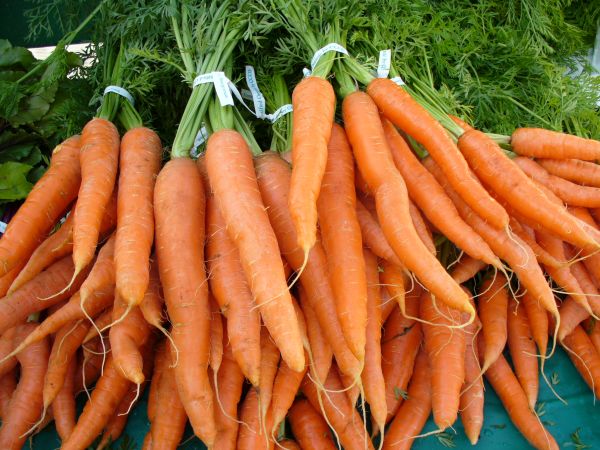 Carrots Carrots