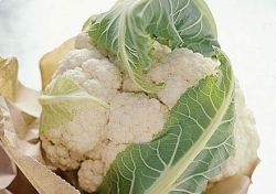 cauliflowers the best defense against prostate can
