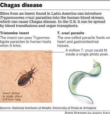 chagas disease 2222