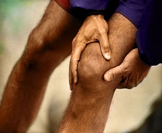 Chondroitin Sulfate is supplement for healthy joints