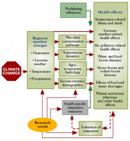 climate change impact on human health