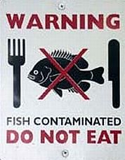 contaminated fish 64
