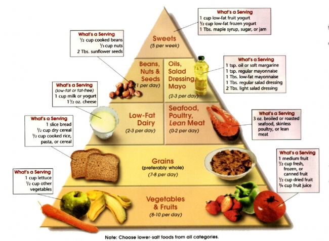 DASH diet pyramid