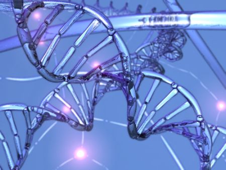 dna structure