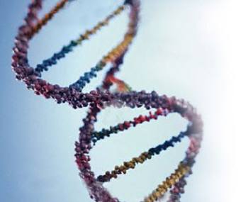 dna test dna test