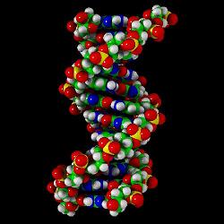 dna 4762 dna 4762
