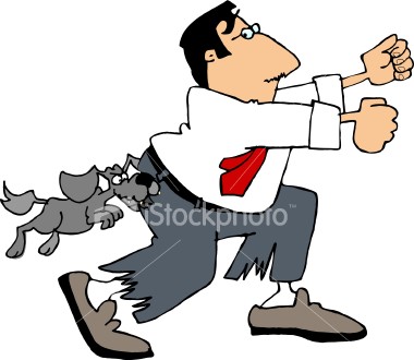 dog bite 246