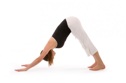 Downward Facing Dog Pose
