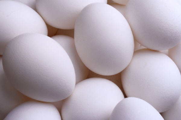 Eggs Eggs