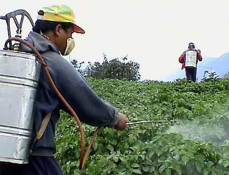 exposure to pesticides 64