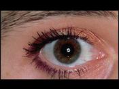 eye care 3821