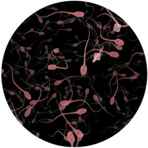 fertility