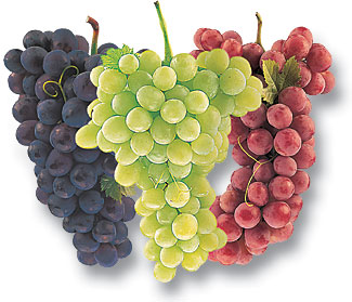 grapes 4717