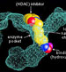 hdac inhibitors 246