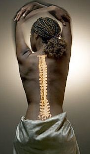 healthy bones 64