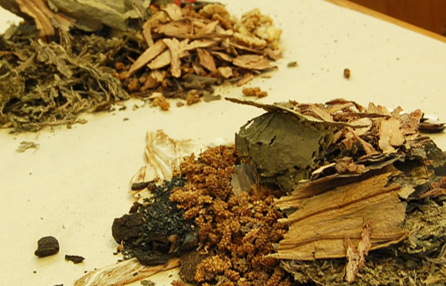 9 Hair loss fighting Chinese herbs hoelen mushwoom image title ha6fp