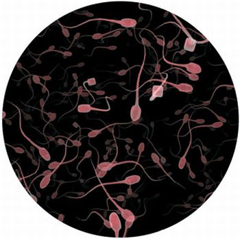 human infertility