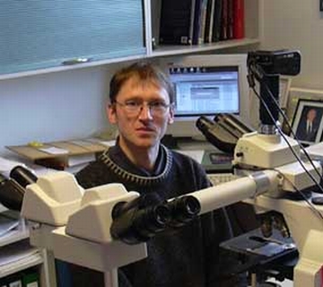 invasion of the brain tumors regulator discovered