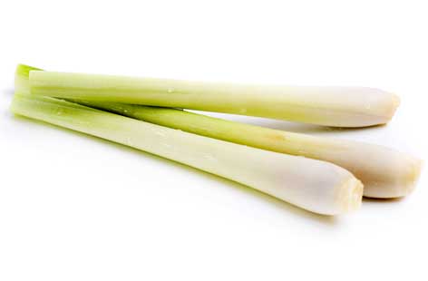 Fight jet lag with these simple aromatherapy solutions leave behind fatigue with lemongrass image title 3jcmj