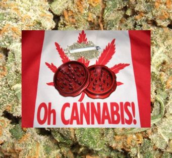 marijuana 1 3821