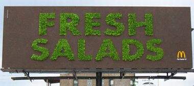 mcsalad