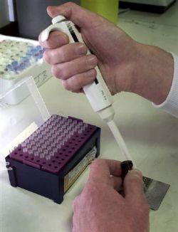 new device detects avian flu strains fast 9