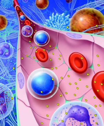new platinum compound is more toxic to cancer cell