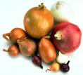 onion
