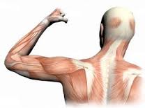 Get healthy now with this magical supplement: Benefits of shilajit for men pain relief and general debility image title ljjia
