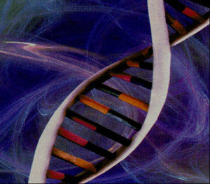 preimplantation genetic diagnosis pgd SrGi6 5965 preimplantation genetic diagnosis pgd SrGi6 5965