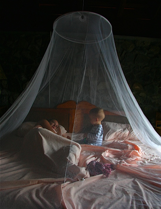 Prevent mosquito bites