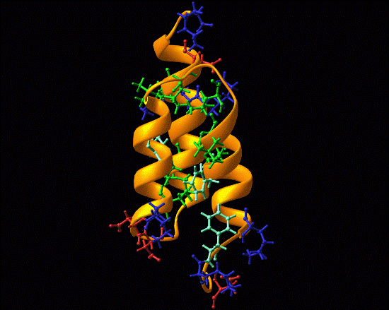 Proteins