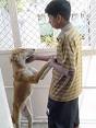 rabies vaccine prevents from infection 3203
