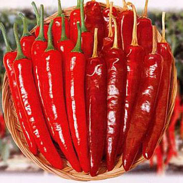 red chillis