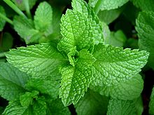 9 Best naturopathic medicines to treat hyper pigmentation