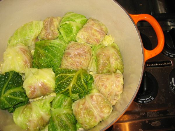 Stuffed and tasty cabbage rolls