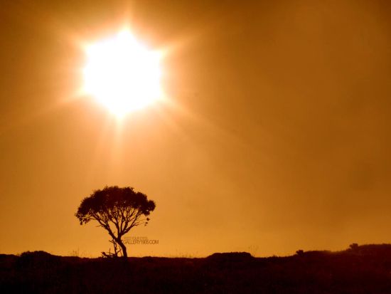 sunshine 6 w9bmD 8167 sunshine 6 w9bmD 8167