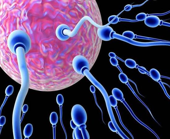 Vitamin D increases sperm motility