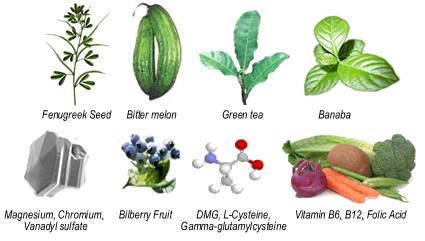 vitamins an d minerals 246 vitamins an d minerals 246