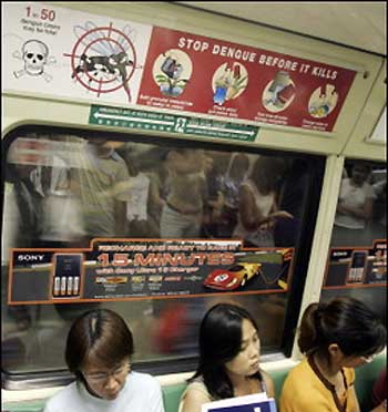 warning signals of dengue 246